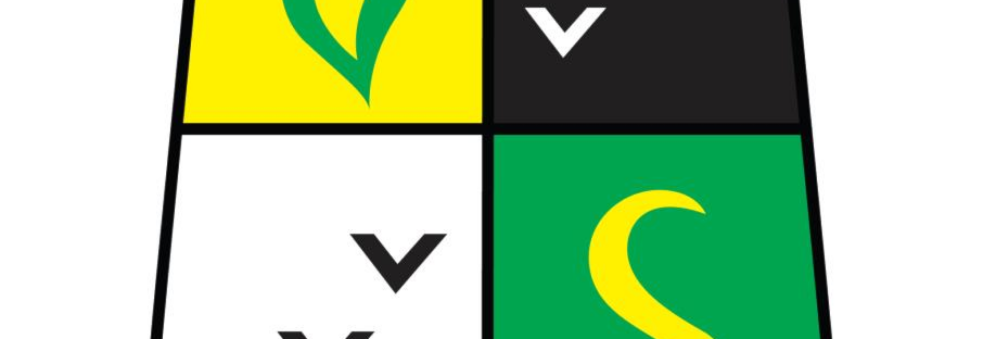 Utvikling av Veitvet SK